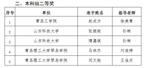 計(jì)算機(jī)工程系在第三屆山東新一代信息技術(shù)創(chuàng)新應(yīng)用大賽中喜獲佳績(jī)